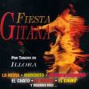 Avatar for Fiesta Gitana