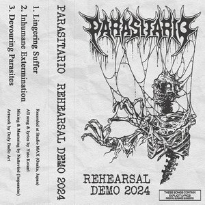 Rehearsal Demo 2024