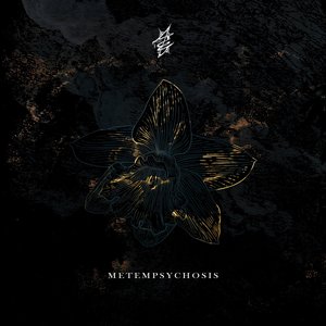 Metempsychosis