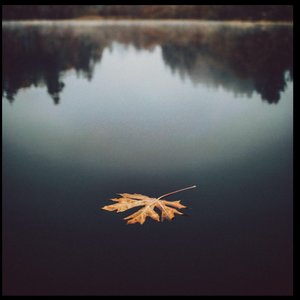 Turning Leaves