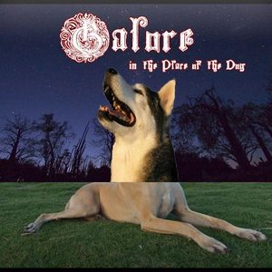 Galore in the Place of The Dog