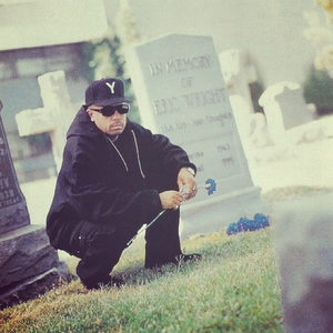 Yella photo provided by Last.fm