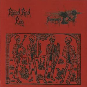 Blood Red Fog / Funerary Bell için avatar