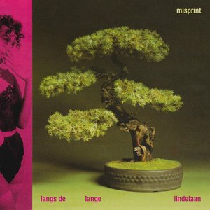 Langs de Lange Lindelaan