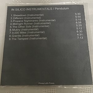 In Silico (Instrumentals)