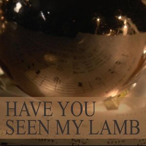 Have You Seen My Lamb