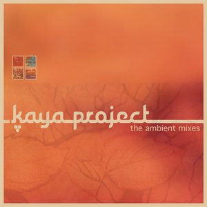 The Ambient Mixes