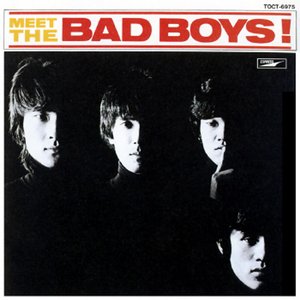 MEET THE BAD BOYS