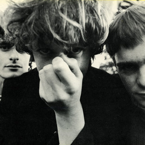 The Clean photo provided by Last.fm