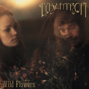 Wild Flowers