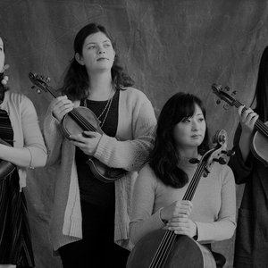 Bergamot Quartet için avatar