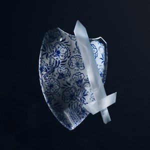 Porcelain Shield, Paper Sword
