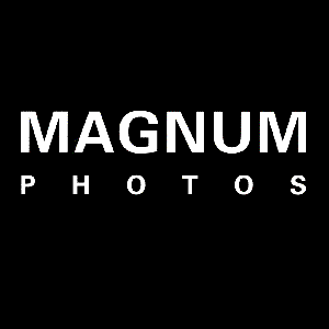 Аватар для Magnum Group