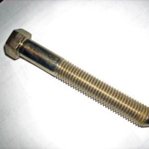 GoldenScrew 的头像