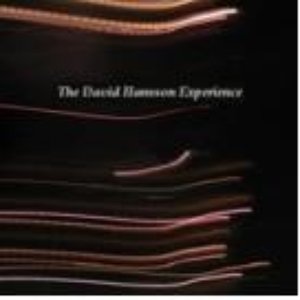 'The David Hansson Experience' için resim