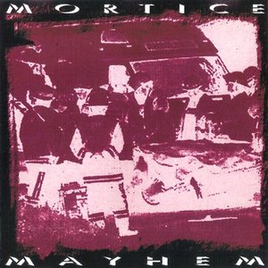 Mortice 的头像