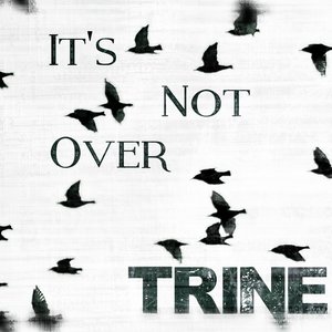 It's Not Over - Single