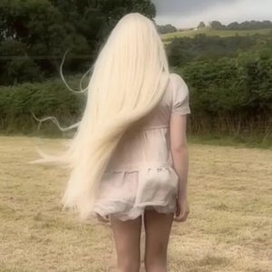 Window - Single