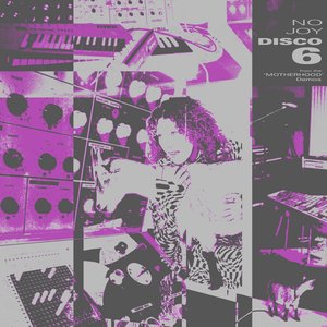 Disco 6 (Motherhood Demos)