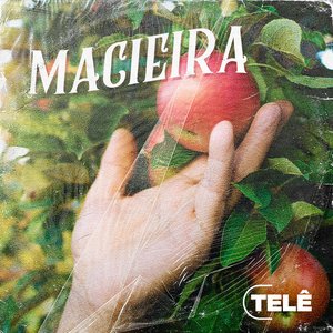 Macieira