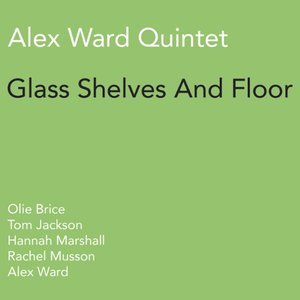 Glass Shelves and Floor