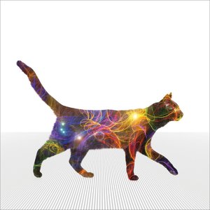 Avatar for MUSICA PARA GATOS