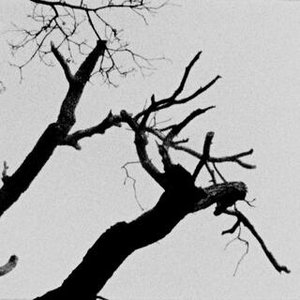 Western Horror Story