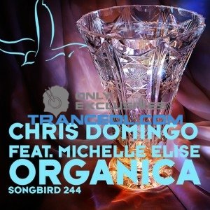 “Chris Domingo”的封面