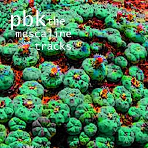 The Mescaline Tracks