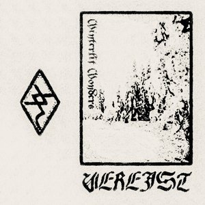 Winterlit Wonders