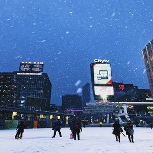 The Winter Collection - EP