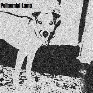 Image for 'Polinomial Lama'