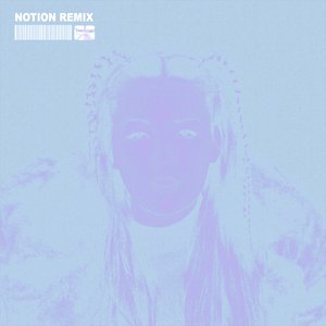 The Days (NOTION Remix)