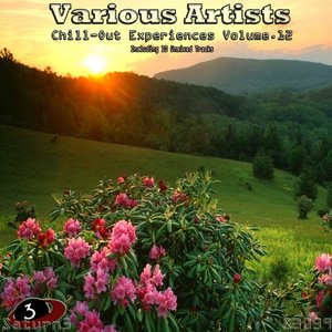 Chill Out Experiences Vol. 12