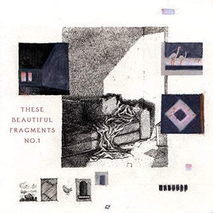 These Beautiful Fragments No.1
