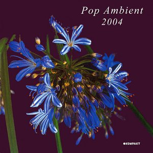 Imagem de 'Pop Ambient 2004'