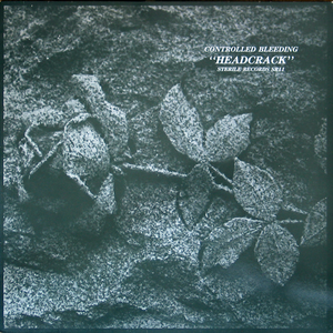 Headcrack cover