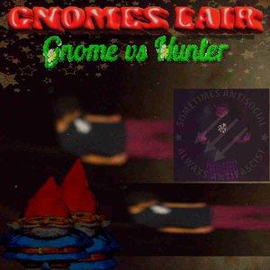 Gnome's Lair: Gnome vs Hunter