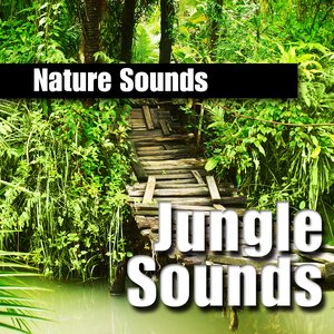 Nature Sounds: Jungle Sounds