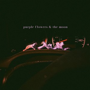 Purple Flowers & the Moon