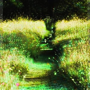 Willow - Single