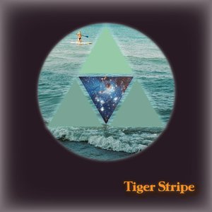 Avatar for Tiger Stripe