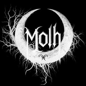Avatar di Molh