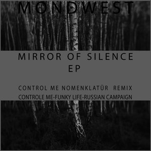 “mirror of silence”的封面