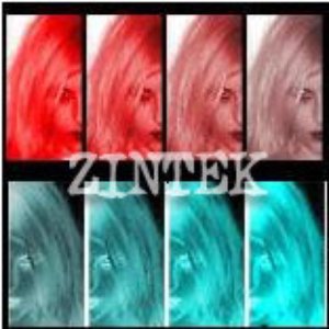 ZINTEK
