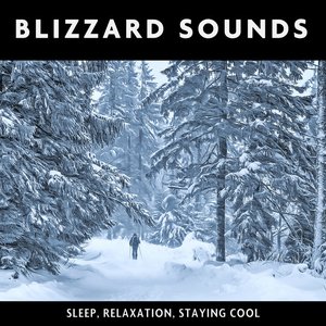 Blizzard Sounds (Sleep, Relaxation, Staying Cool)