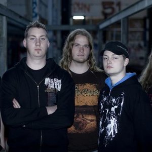 “Inbreeding Rednecks”的封面