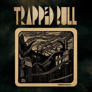 Trapped Bull