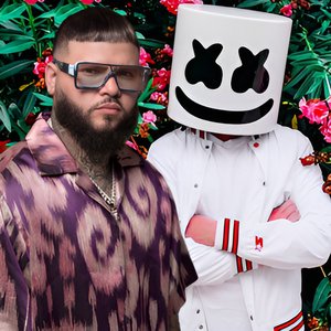Avatar for Marshmello & Farruko