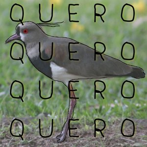 QUERO QUERO QUERO QUERO